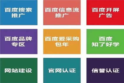 百度竞价广告投放策略：案例分析及效果评估